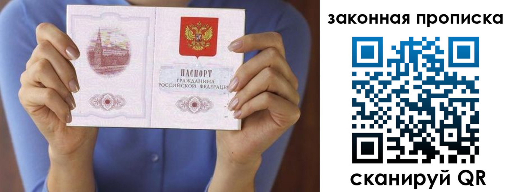 прописка законно в Химках